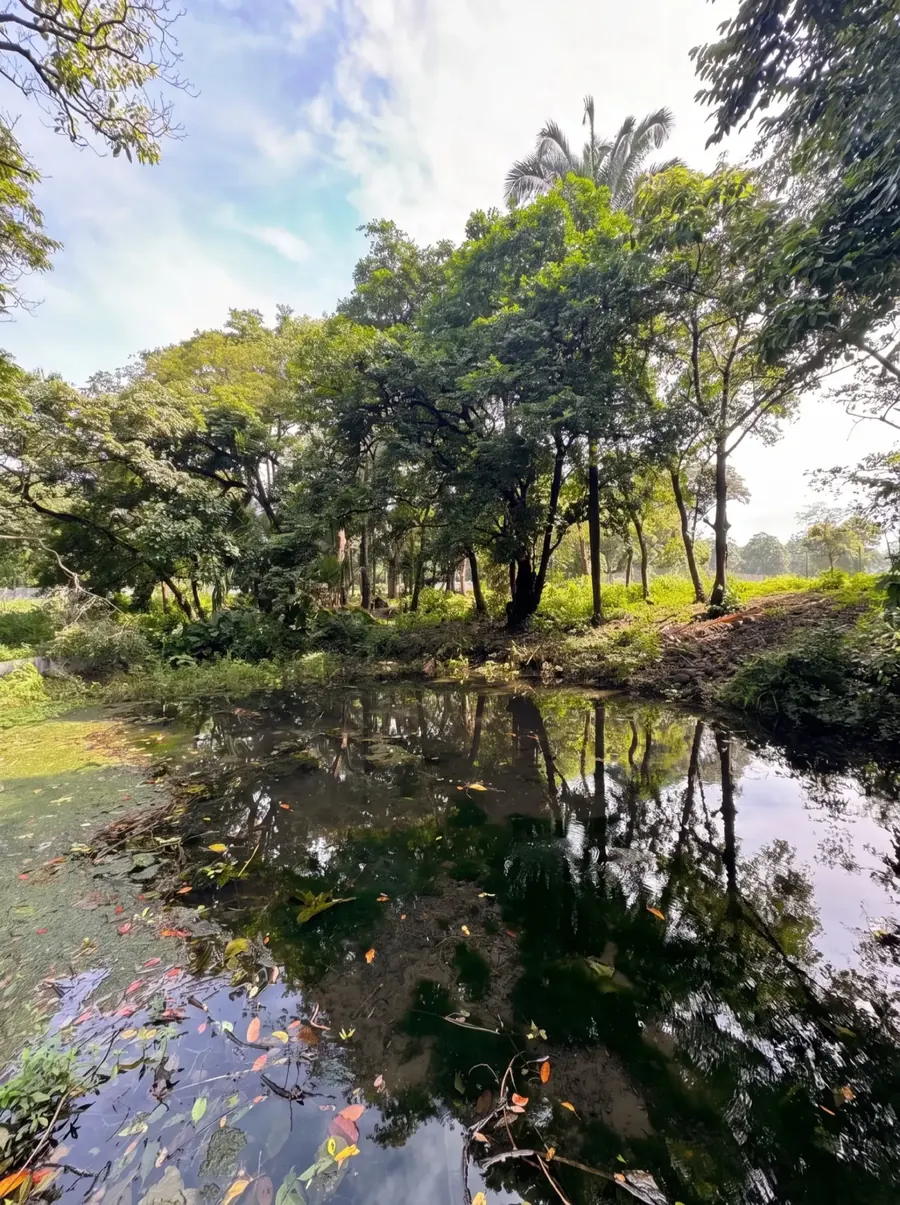 Laguna natural dentro del condominio