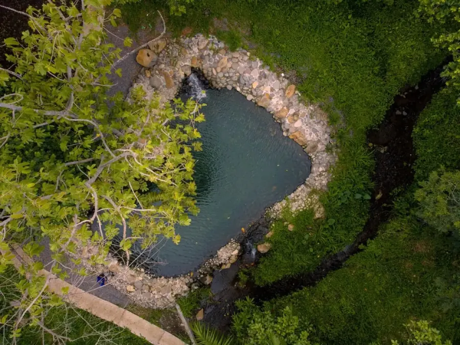 Piscina de agua natural del condominio